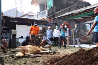 Pemotongan dan Penyaluran Hewan Kurban UPN Veteran Jakarta, Ketua DKM: Kami Segera Salurkan Kepada yang Berhak
